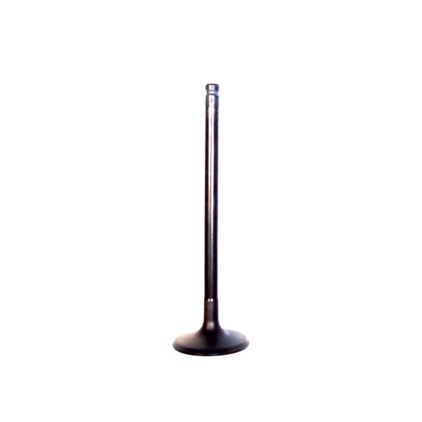 1.6L 16V DOHC DNJ IV429 Intake Valve for 2003-2005 Kia/Rio 1594cc L4 1.6L 16V DOHC DNJ IV429 Intake Valve for 2003-2005 Kia/Rio 1594cc L4
